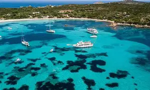 九博APP下载-包含嶵壨my-嶴顤nF/?頖鰦	?